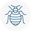 Bed Bug Extermination In Crewkerne
