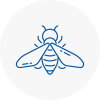 Bee Nest Removal Crewkerne