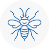 Crewkerne Hornet Nest Removals
