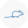 Mice Exterminators In Crewkerne