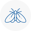 Moth Control Specialists In Crewkerne