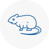 Rat Control Crewkerne