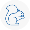 Crewkerne Rodent Removals